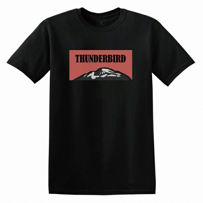 Tシャツ DESENHISTA(TM) デゼニスタ ブラック 大人 デザイン ユニセックス メンズ レディース 半袖 ゆったり カジュアル アウトドア シンプル キャンプ アメカジ ロゴT