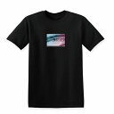 Tシャツ DESENHISTA(TM) デゼニスタ ブラック 大人 デザイン ユニセックス メンズ レディース 半袖 ゆったり サーフ ボタニカル カジュアル ...