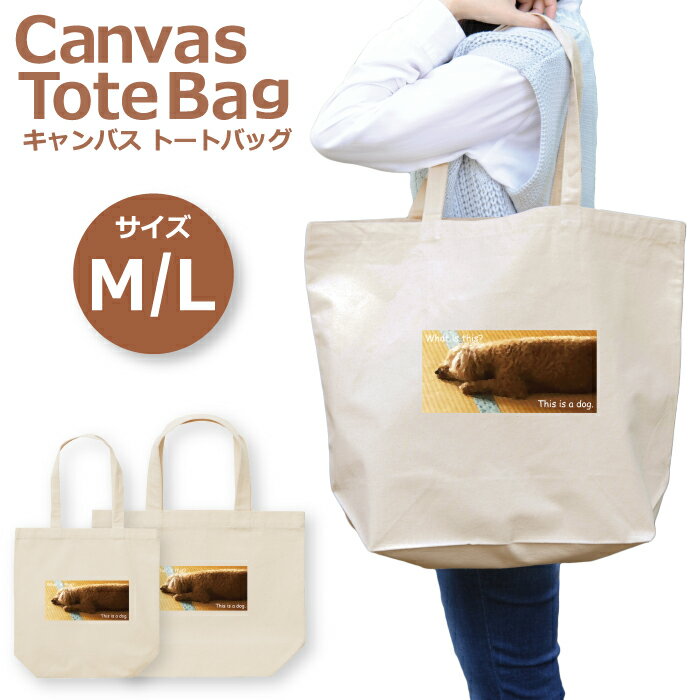 woodgreen ޥۥĮ㤨Ⱦ 50%OFF ѡ ȡȥХå ǥ 礭   Х İ 襤  Хå ̿ ץ סɥ 塼  Ѹ  襤 ȡȥХå ȡȥХåǥ A4 郎 䤷  פβǤʤ1,240ߤˤʤޤ