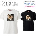 デザイン Tシャツ メンズ サイズ S M L LL XL 半袖 綿 100% 透けない 長持ち プリント コットン ゆったり 白Tシャツ 黒 ホワイト ブラック 写真 カラー プリント シュール イヌ ビビット シンプル おしゃれ かわいい