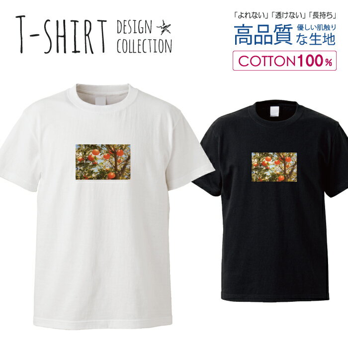 オレンジ フルーツ みかん 青空 空 食べ物 韓国 おしゃれ かわいい デザイン Tシャツ メンズ サイズ S M L LL XL 半袖 綿 100% 透けない 長持ち プリント コットン ゆったり 白Tシャツ 黒 ホワイト ブラック