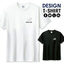 Tシャツ メンズ ユニセックス ボウリング ボーリング スポーツ 球技 球 ピン ボール 面白い おもしろい サイズ S M L LL XL 半袖 綿 100% よれない 透けない 長持ち プリントtシャツ デザイン コットン 人気 ゆったり 白Tシャツ 黒Tシャツ ホワイト ブラック(4)