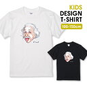 Tシャツ キッズ こどもサイズ ハカセ 博士 アインシュタイン 天才 サイズ 100 110 120 130 140 150 半袖 綿 100% 透けない プリ...