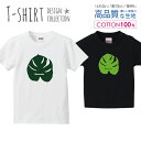 必ずご確認下さい。 商品説明 T-shirt Design Collectionオシャレなデザイン キッズTシャツが登場しました♪5.6オンスのしっかりとしたボディーを使用しており、「よれない」「透けない」「長持ち」という3大要素をすべて兼ね備えたTシャツ。しっかりとした生地のため、一枚で着ても様になるオシャレTシャツです♪ カラー ・ホワイト・ブラック 商品詳細 【サイズ展開】100cm / 110cm / 120cm / 130cm / 140cm / 150cm 【詳細サイズ（cm）】サイズ着丈身幅肩幅袖丈100403128121104433301312047353214130513734151405540361615059433817 素材：綿 100％ ボディ生産国：中国 印刷：日本 注意事項 ・各採寸箇所については、実寸(平置き)より約-2cm〜+2cm程度は誤差の許容範囲とさせて頂いております。・ページ内写真と実物では多少の色の違いが生じる事があります。・発送まで3〜5営業日いただいております。・注文確定後、自社印刷するため、ご注文後のキャンセルはお断りさせていただいております。 メール便について ・代金引換の場合、メール便は選択できません。　別途、弊社規定送料+代引手数料となります。・メール便の配送中での商品破損の返品・交換はできません。　配送中の補償をご希望の方は宅配便での購入をお勧めします。人気 デザイン キッズTシャツボタニカル デザイン TシャツT-shirt Design Collectionデザインポイントしっかりとした5.6ozのボディを使用したデザインプリントTシャツよれない、透けない、長持ち、といった三大要素をカバーしたオシャレなデザインTシャツです♪