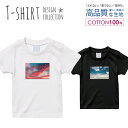 Tシャツ キッズ サイズ 100 110 120 130 140 150 半袖 綿 100% 透けない 長持ち プリント コットン 白Tシャツ 黒 ホワイト ブラック 空 写真 景色 天気 赤 シンプル 夕焼け おしゃれ かわいい