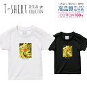 Tシャツ キッズ サイズ 100 110 120 130 140 150 半袖 綿 100% 透けない 長持ち プリント コットン 白Tシャツ 黒 ホワイト ブラック コラージュ うさぎ 蛇 花 不思議 ストリート 写真 おしゃれ かわいい