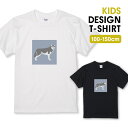 ◆10%OFFクーポン配布中◆ Tシャツ キッズ こどもサイズ ハスキー わんちゃん 犬 イヌ いぬ イラスト 韓国 くすみカラー おしゃれ かわいい サイズ 100 110 120 130 140 150 半袖 綿 100% 白Tシャツ 黒Tシャツ ホワイト ブラック こども服 子供サイズ 子供服(4)