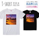 An ALOHA [z l r[` nCA fUC TVc fB[X K[Y TCY M L   100% Ȃ Ȃ  vgtVc Rbg lC 5.6IX nCNIeB[ TVc TVc zCg ubN