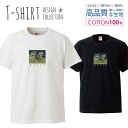 シンプル 名画 カジュアル グラフィティ ストリート デザイン Tシャツ レディース サイズ M L 半袖 綿 100% よれない 透けない 長持ち ..