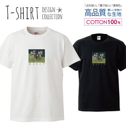 シンプル 名画 カジュアル グラフィティ ストリート デザイン Tシャツ レディース サイズ M L 半袖 綿 100% よれない 透けない 長持ち プリントtシャツ コットン 人気 ゆったり 5.6オンス ハイクオリティー 白Tシャツ 黒Tシャツ ホワイト ブラック