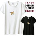 Tシャツ レディース ガールズ 猫 ネコ ねこ 星 月 宇宙 キラキラ 可愛い おしゃれ 大人かわいい きれい パープル サイズ M L 半袖 綿 100% よ...
