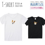 Tシャツ レディース ガールズ サイズ M L 半袖 綿 100% 透けない 長持ち プリント コットン 人気 白Tシャツ 黒 ホワイト ブラック ブラック 写真 カラー プリント シュール コーギー イヌ 切り抜き おしゃれ かわいい