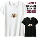 Tシャツ レディース ガールズ イヌ 犬 いぬ ポメプー 動物 アニマル 写真 グラフィック おしゃれ かわいい サイズ M L 半袖 綿 100% よれない 透けない 長持ち プリントtシャツ コットン 人気 レディースサイズ 女性 白Tシャツ 黒Tシャツ ホワイト ブラック(4)