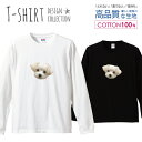 ロングスリーブTシャツ リブ付き メンズ ユニセックス イヌ 犬 いぬ マルチーズ 動物 アニマル 写真 グラフィック おしゃれ かわいい S M L LL XL 長袖 ロンティー ロンT 綿 100% プリントtシャツ コットン 人気 白Tシャツ 黒Tシャツ ホワイト ブラック