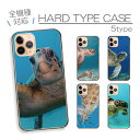 ◆エントリで100円~OFFクーポン◆ スマホケース ハードケース 全機種対応 iPhoneケース アンドロイド 亀 カメ かめ 海亀 ホヌ ウミガメ ダイビング 海の生き物 かわいい 綺麗 写真 ブルー iPhone16e ハード スマホカバー プチプラ 携帯カバー