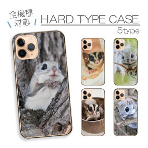 スマホケース ハードケース 全機種対応 iPhoneケース アンドロイド モモンガ ももんが フクロモモンガ エゾモモンガ 動物 アニマル 可愛い かわいい 癒し 写真 森 iPhone16e Google Pixel aquos エクスペリア ハード スマホカバー プチプラ 携帯カバー