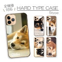スマホケース ハードケース 全機種対応 iPhoneケース アンドロイド 柴犬 黒柴 シバイヌ しばけん 犬 動物 写真 豆しば 日本犬 可愛い かわいい おしゃれ シンプル iPhone16e Google Pixel aquos エクスペリア ハード スマホカバー プチプラ 携帯カバー