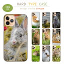 スマホケース 全機種対応 ハードケース iPhoneケース アンドロイド うさぎ ウサギ 兎 ラビット 子兎 野ウサギ かわいい 可愛い 写真 カメラマン iPhone16e Google Pixel aquos エクスペリア ハード スマホカバー