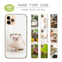 スマホケース 全機種対応 ハードケース iPhoneケース アンドロイド ハリネズミ はりねずみ 針鼠 動物 写真 アニマル かわいい 可愛い おしゃれ iPhone16e Google Pixel aquos エクスペリア ハード スマホカバー ピクセル8a 携帯ケース 携帯カバー
