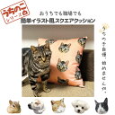 うちのこシリーズ イラスト 写真 犬 猫 オリジナル クッション スクエアクッション オシャレ かわいい オーダーメイド プレゼント 名入れ 父の日 母の日 記...