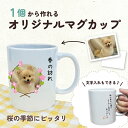 写真入れ&文字入れ 名前入れ メッセージ マグカップ プレゼント 春 新学期 贈り物 部活 引退 オリジナル デザイン 世界にひとつだけの ご贈答 名入れ 父の日 母の日 簡単 お祝い 引き出物 結婚式 卒業式 卒園式 記念品 敬老の日 思い出 想い出 七五三