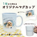 写真入れ&文字入れ 名前入れ メッセージ マグカップ プレゼント 贈り物 つばめ ツバメ 部活 引退 オリジナル デザイン 世界にひとつだけの ご贈答 名入れ 父の日 母の日 簡単 お祝い 引き出物 結婚式 卒業式 卒園式 記念品 敬老の日 思い出 想い出 七五三