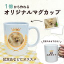 写真入れ&文字入れ 名前入れ メッセージ マグカップ プレゼント 贈り物 部活 引退 オリジナル デザイン 世界にひとつだけの ご贈答 名入れ 父の日 母の日 簡単 お祝い 引き出物 結婚式 卒業式 卒園式 記念品 敬老の日 思い出 想い出 七五三