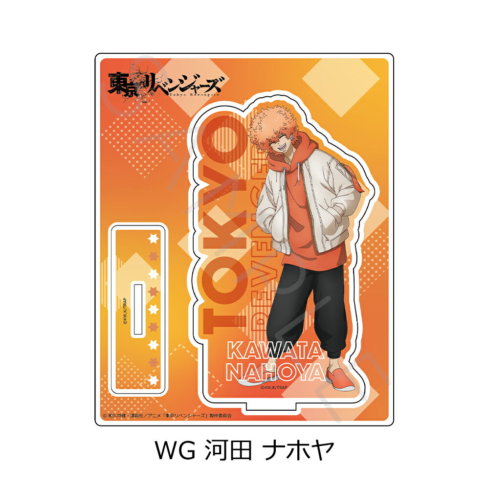 ٥󥸥㡼 5 륹 WG ( ʥۥ) ǧå 饯å