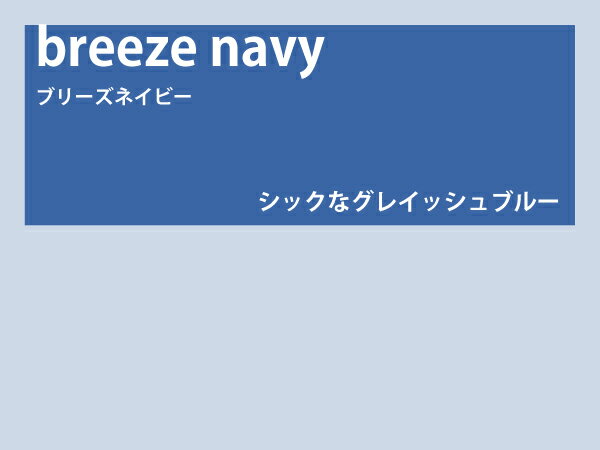 【レンズ交換オプション】カラーレンズ「ブリーズネイビー」＜グラデーション＞ LENS-BZNV-G 伊達メガネ 老眼鏡 度付き 遠近両用レンズなどに対応