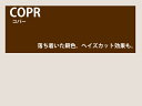 【レンズ交換オプション】カラーレンズ「コパ―」<グラデーション> LENS-COPR-G 伊達メガネ 老眼鏡 度付き 遠近両用レンズなどに対応