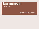 【レンズ交換オプション】カラーレンズ「フェアマロン」<フルカラー> LENS-FAMN-F 伊達メガネ 老眼鏡 度付き 遠近両用レンズなどに対応