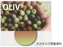 【レンズ交換オプション】カラーレンズ「オリーブ」<ツインカラー> LENS-OLIV-T 伊達メガネ 老眼鏡 度付き 遠近両用レンズなどに対応
