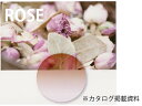 【レンズ交換オプション】カラーレンズ「ローズ」＜ツインカラー＞ LENS-ROSE-T 伊達メガネ 老眼鏡 度付き 遠近両用レンズなどに対応