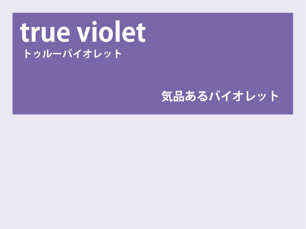 ■品名 【オプション】カラーレンズ「トゥルーバイオレット」＜グラデーション＞ ■品番（管理番号） LENS-TRVI-G ■濃度 【15G】15%-視感透過率（幾何学中心）87(90)％−夜間運転適合 【25G】25%-視感透過率（幾何学中...