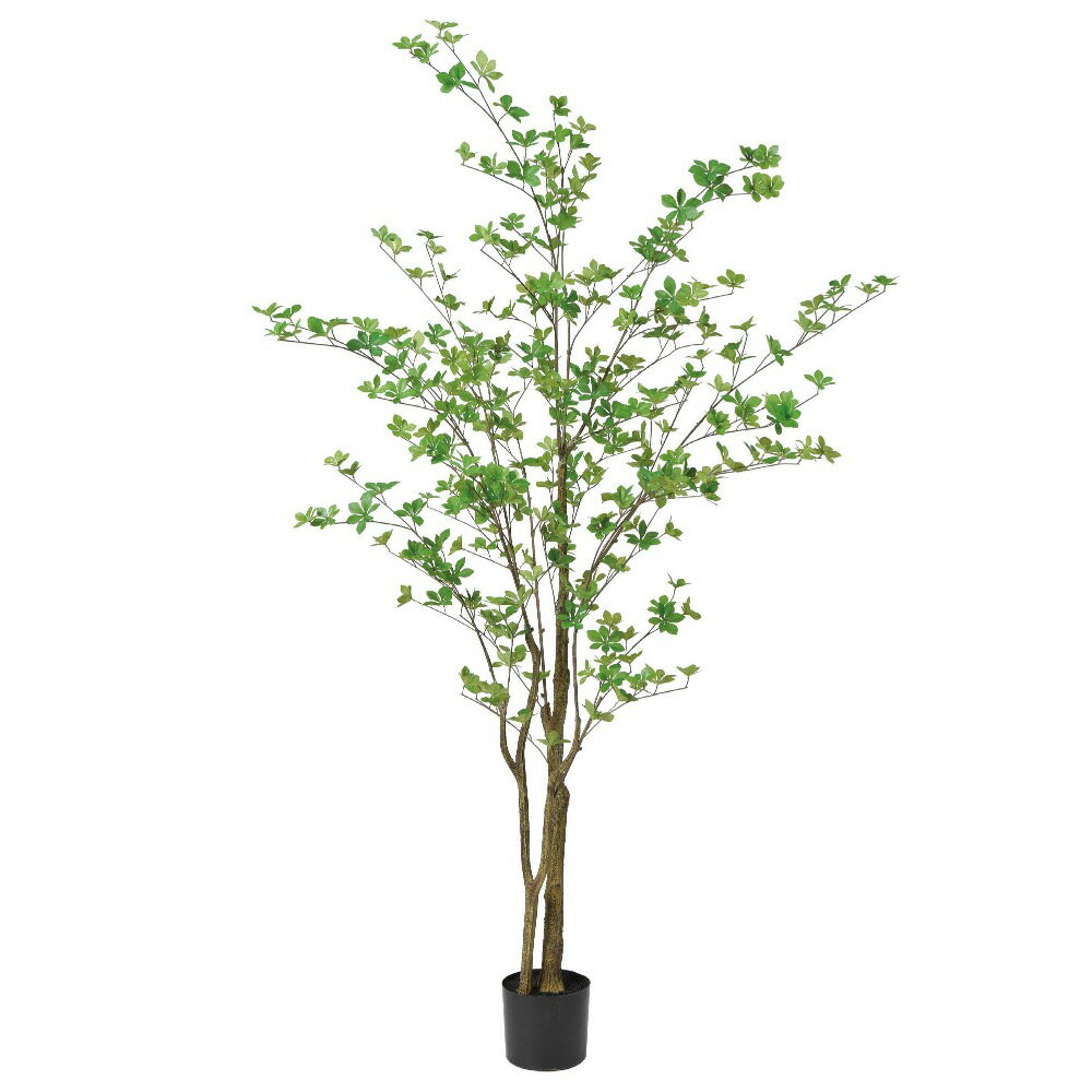 人工観葉植物　　フェイクグリーン　　ドウダンツツジ1.9m【代引き不可】送料無料