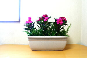 【造花プランター】【インパセイスプランラー】「人工観葉植物】【壁掛タイプ・置きタイプお選び下さい】【送料無料】