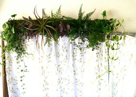 【人工観葉植物】【グリーン壁掛】【触媒加工】【送料無料】