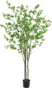人工観葉植物 フェイクグリーン ドウダンツツジ2.1m 最安値に挑戦 送料無料