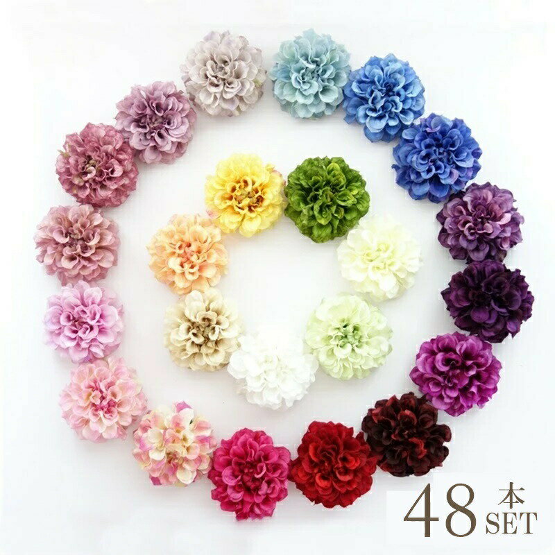 asca ダリアSET 48本 送料無料