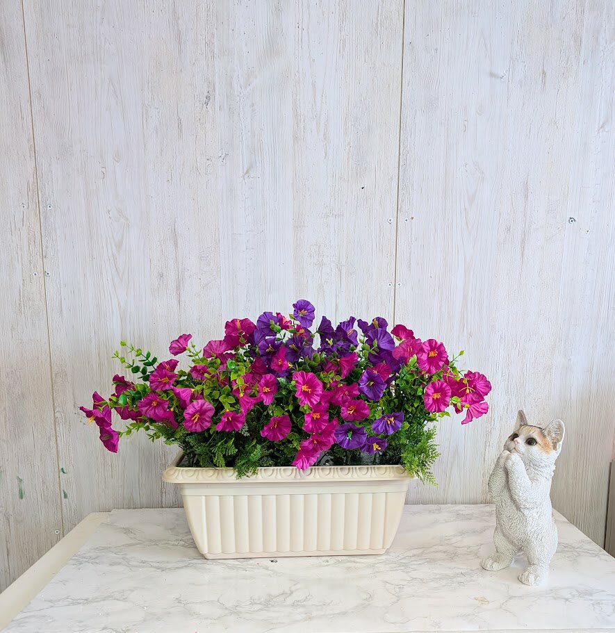 ベティちゃん花瓶4体セット Amazon.co.jp: ベティちゃん 4点