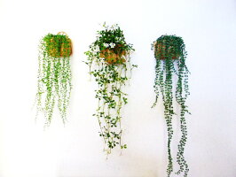 観葉植物造花