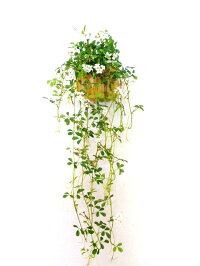 観葉植物造花