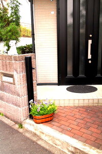 嬉しいレビューを書いて送料無料!!ミックスフラワーグリーンプランター【送料無料】【触媒加工品】【防菌・防カビ・抗ウイルス・消臭】【送料無料5980円】【5000円代〜】【6千円以下】【幅60センチ】【玄関】【ディスプレイ】【野外対応】【駐車場】【建設現場】