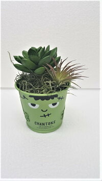 【ハロウイン】【ハロウインボタニカ3点セット】造花人工観葉植物【送料無料】