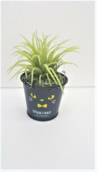 【ハロウイン】【ハロウインボタニカ3点セット】造花人工観葉植物【送料無料】