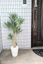 人工観葉植物 ユッカ1.1m 触媒加工 送料無料