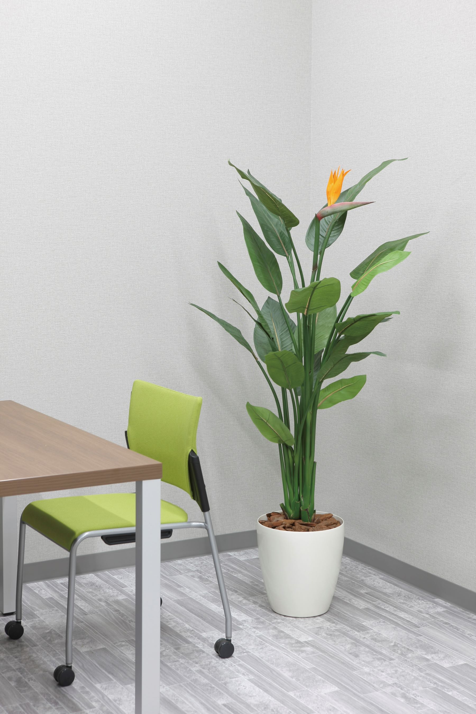 造花人工観葉植物　光の楽園ストレチア1.5m　2025年度新商