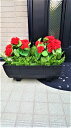 【人工観葉植物】【ゼラニュウムプランター】【送料無料】【屋外使用可】2色よりお選びください。(4)