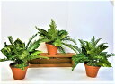 【人工観葉植物】【グリーンポット3点セット】【送料無料】オフィスグリーン 事務所 展示場