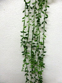 【人工観葉植物】【クイーンネックレス】【観葉植物】【送料無料】【触媒加工】